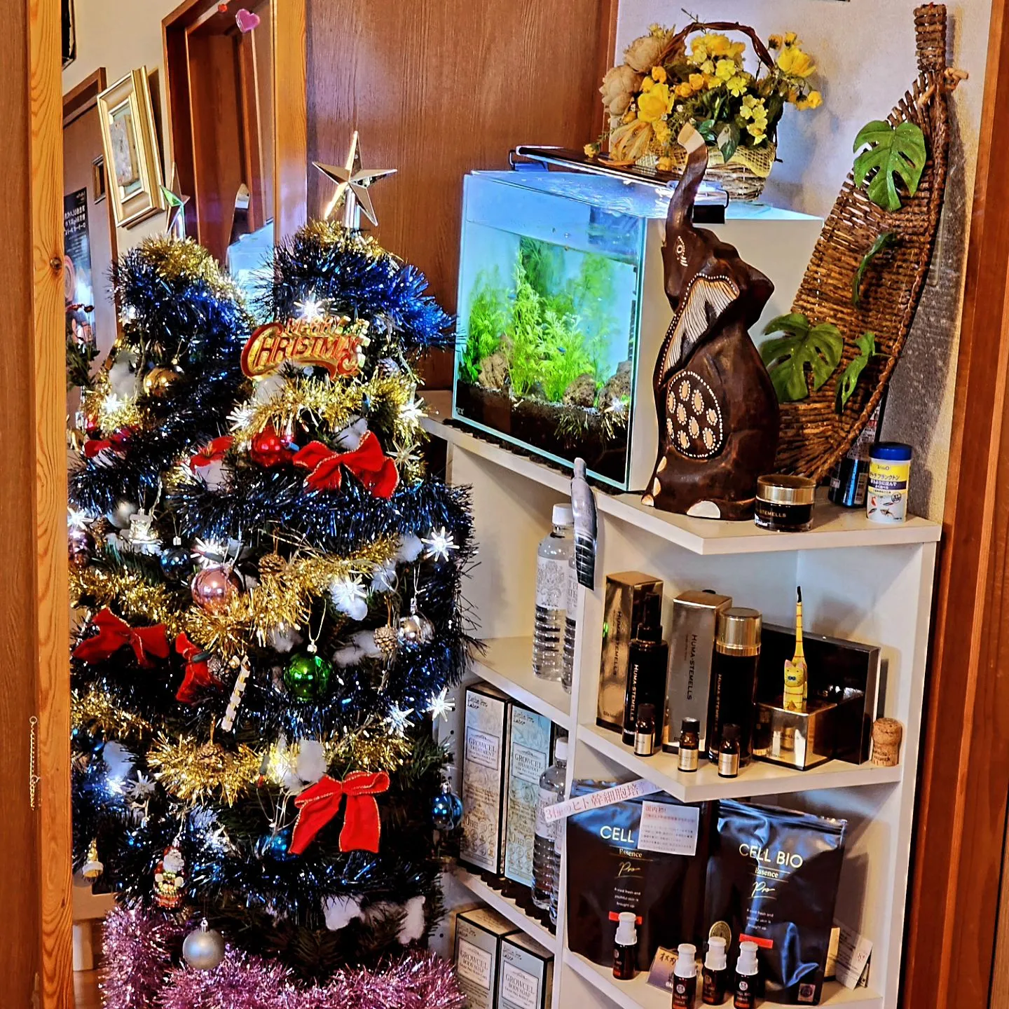 クリスマスに、向けて！✨🎄✨クリスマス、年末にかけて食べる機...