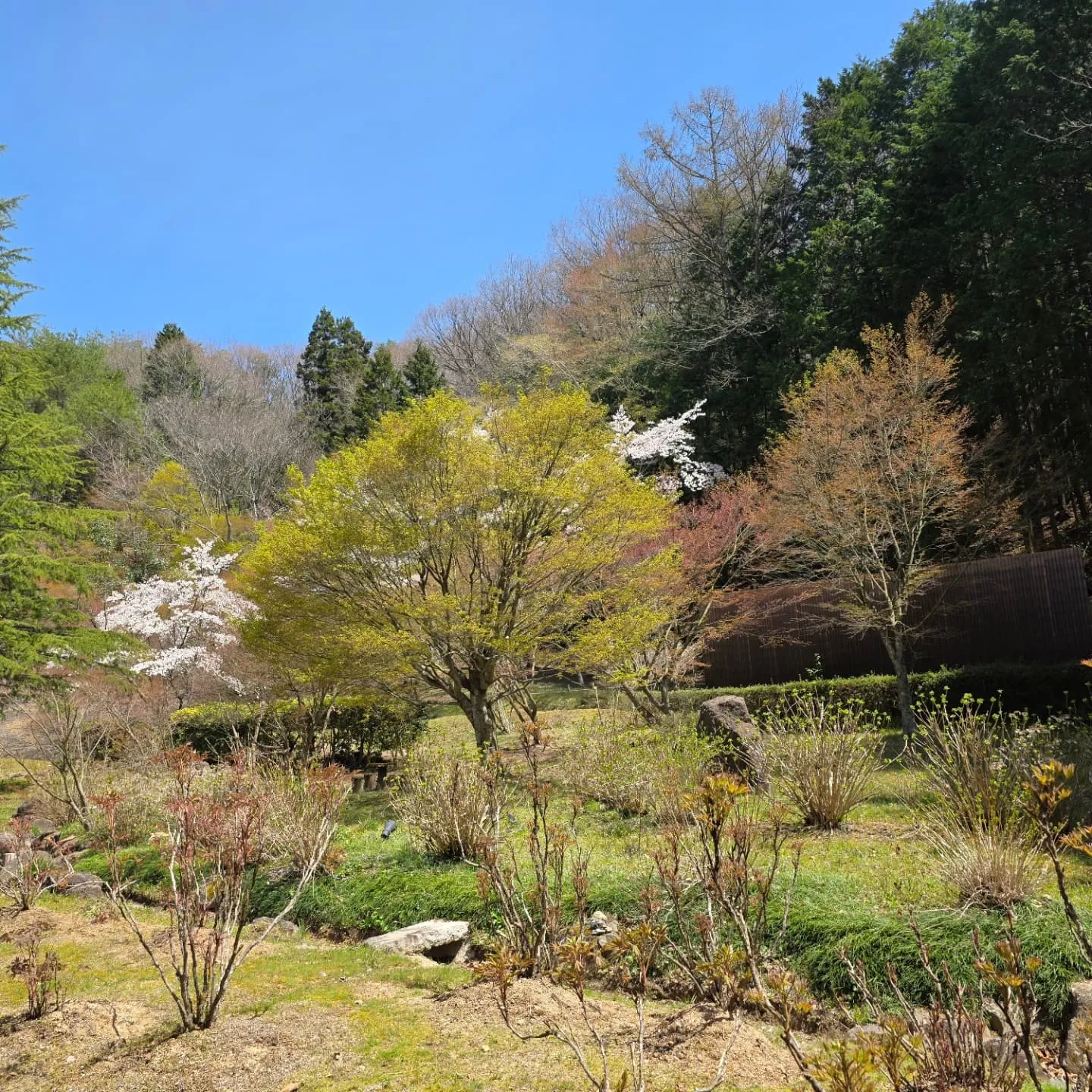 この度ご縁を頂きまして、三和のゆっくら三和さんの館内の中でI...