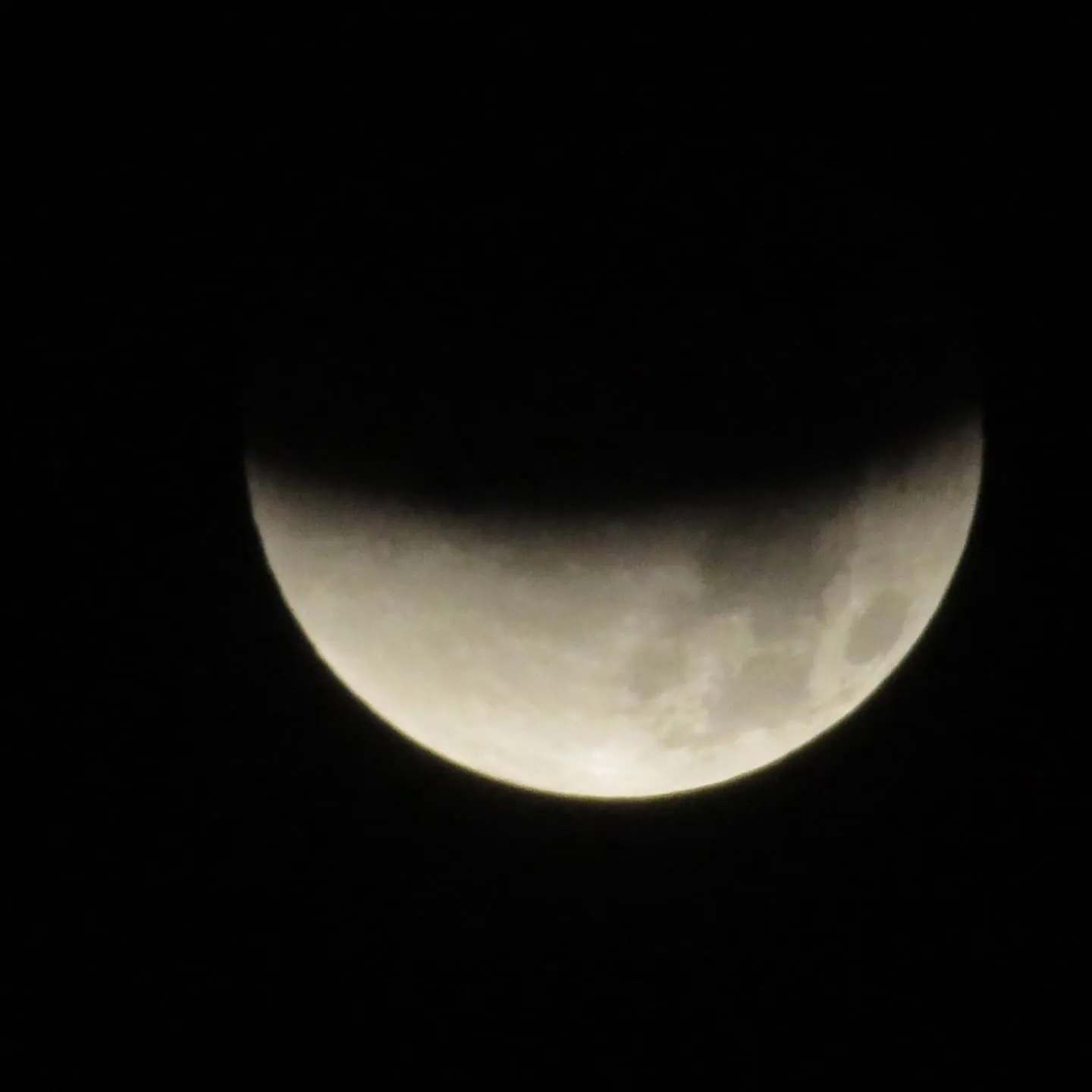 こちらは、7日の真っ昼間です。