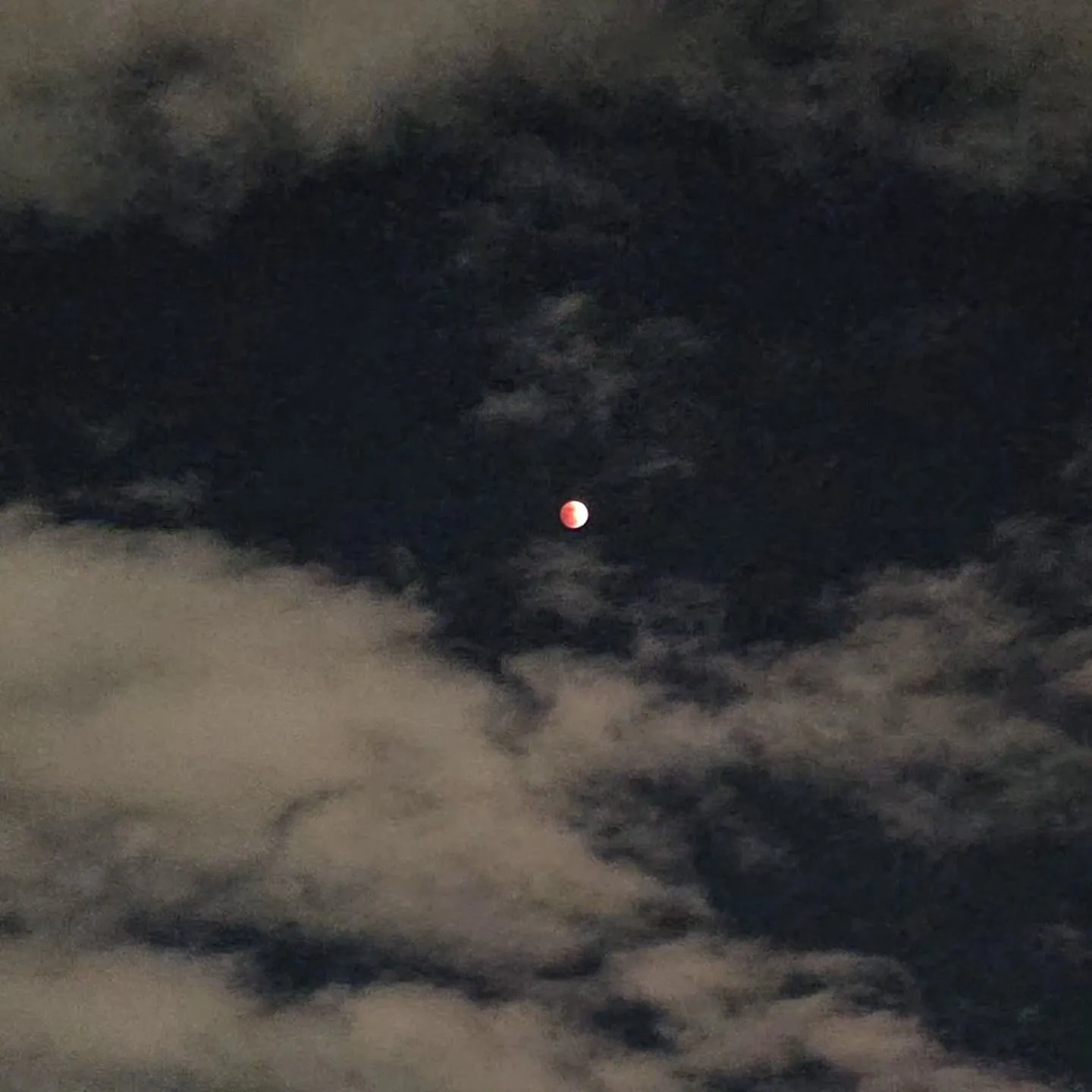 昨夜は、2026年の皆既月食🎎ひな祭り3月3日の